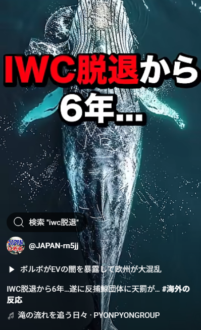 IWC脱退から6年、日本の決断に称賛と皮肉が交錯