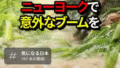 こたつの魔力、世界を魅了？