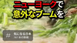 こたつの魔力、世界を魅了？