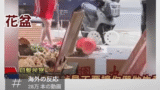 中日友好発言が波紋　台湾人か中国人かの議論が白熱