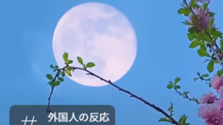日本の色彩文化の豊かさと独特の色名の魅力