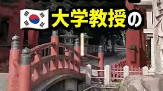 韓国起源説を巡る批判と議論