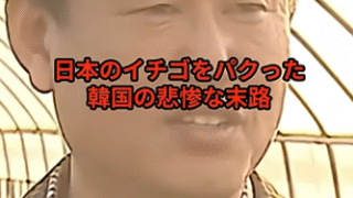 繰り返される農産物盗用と日本の対応への批判